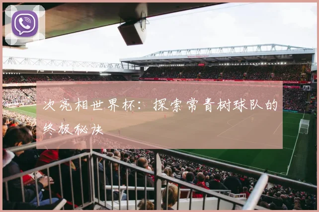 次亮相世界杯:探索常青树球队的终极秘诀