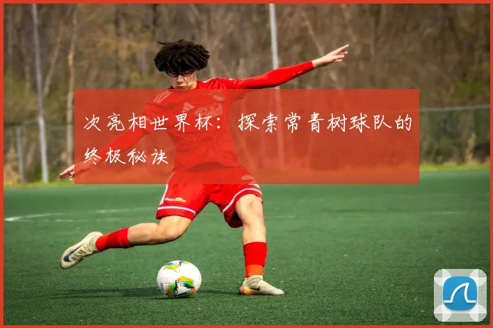 次亮相世界杯：探索常青树球队的终极秘诀